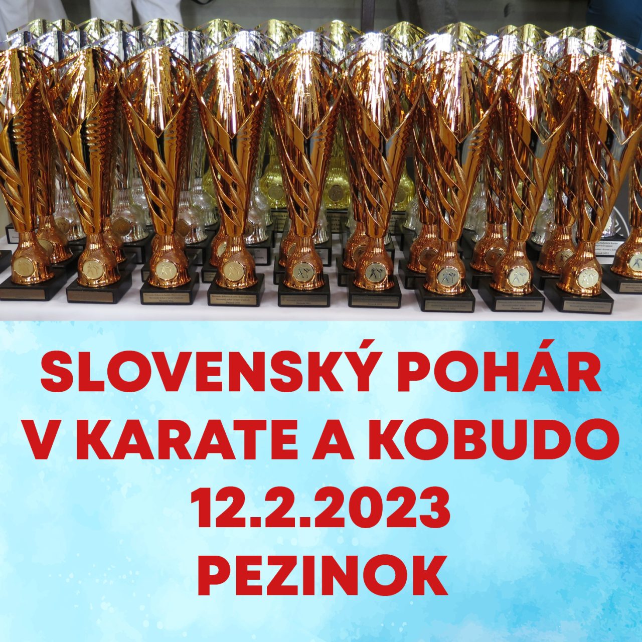 https://karate-slovakia.sk/wp-content/uploads/FB-4-1280x1280.jpg