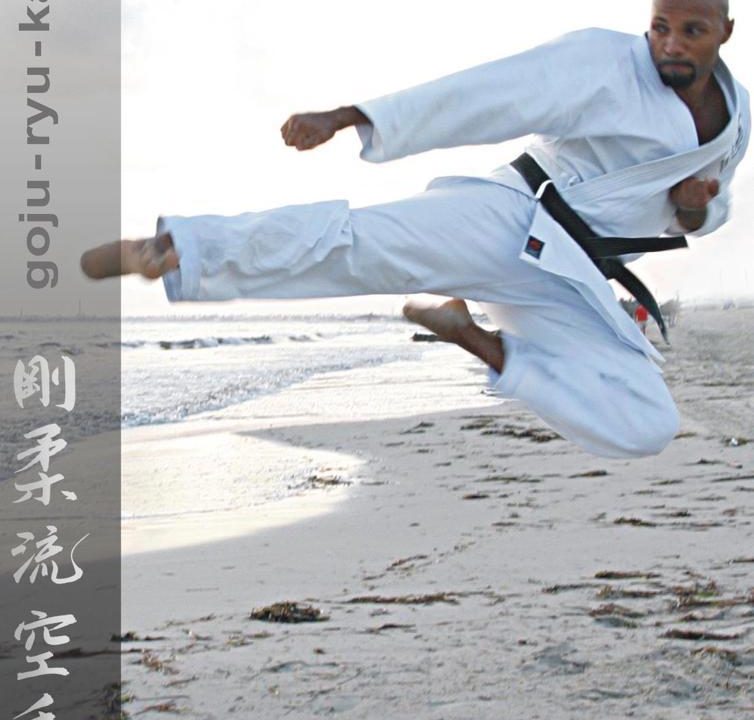 Fredy Ayisi – Život s karate