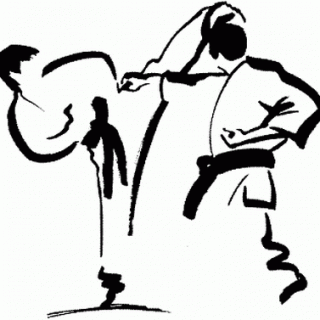 https://karate-slovakia.sk/wp-content/uploads/karate-320x320.gif