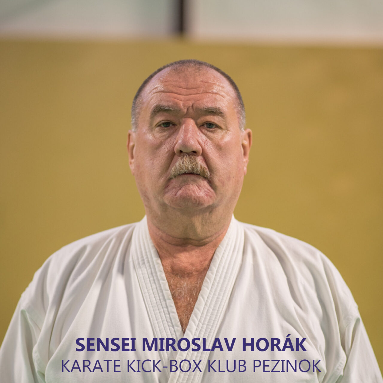 https://karate-slovakia.sk/wp-content/uploads/uvodna_foto-1280x1280.jpg